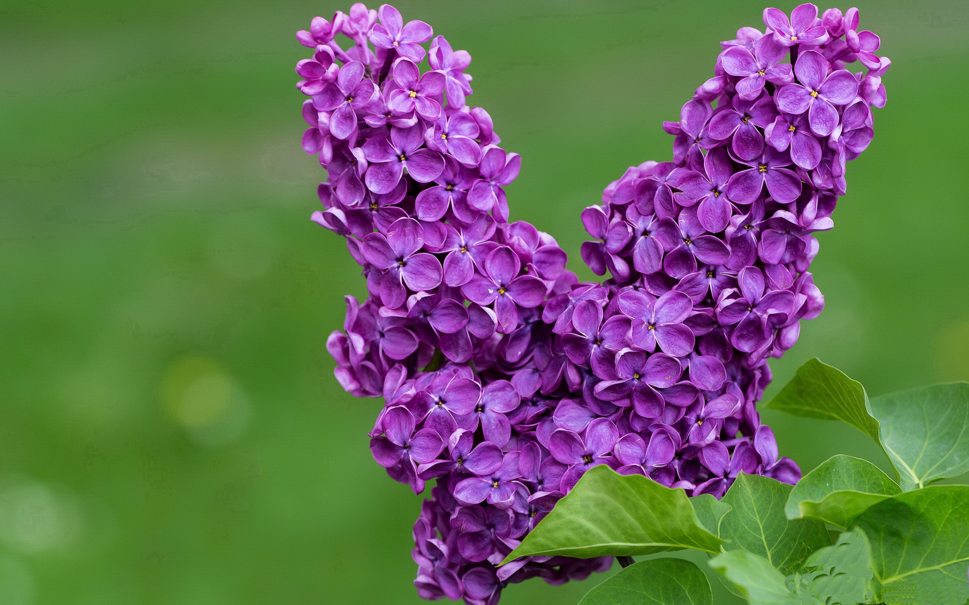 开云体育平台APP-钢铁壁垒与隐形引擎，阿坎吉如何定义年度焦点之夜的攻防哲学