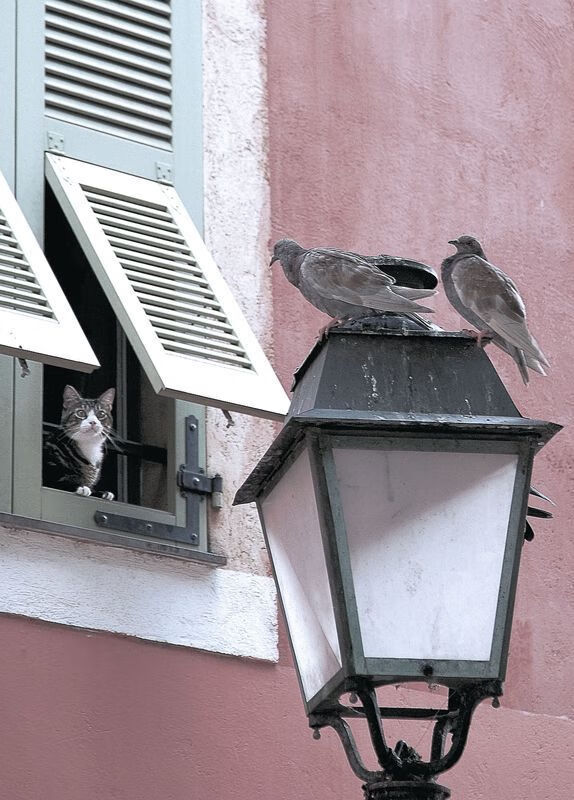 曼城登陆战，当蓝月王朝遇见太极虎，巴雷拉吹响意式号角