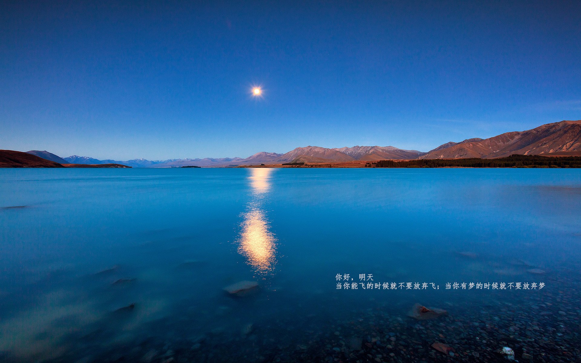 沙特 vs 巴萨,富安健洋打出生涯最佳一战