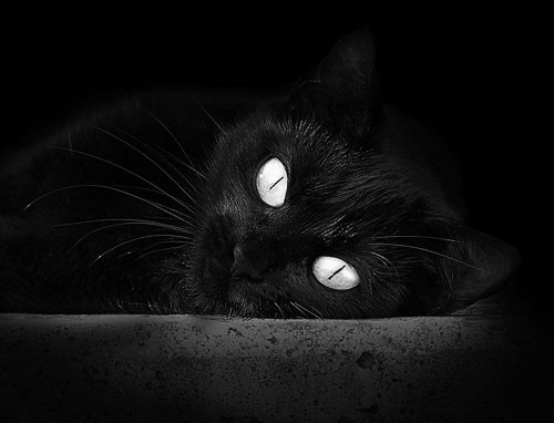 胜利的新公式，雷恩如何踏平米兰，罗德里又为何在东决接管比赛？