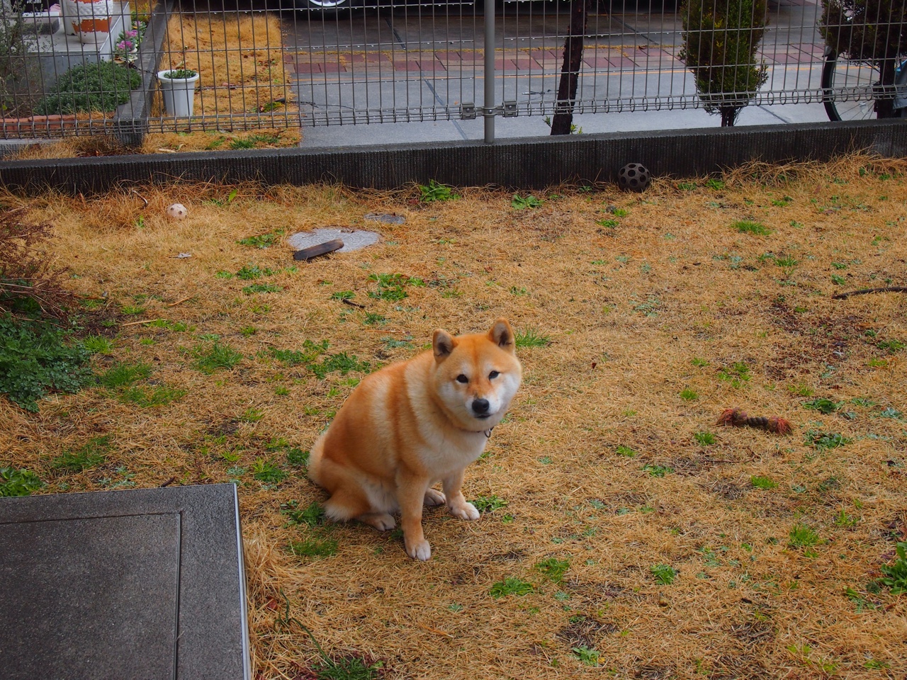 当暗夜狩猎者亮出獠牙，凯恩如何持续制造杀伤，定义NBA季后赛之夜