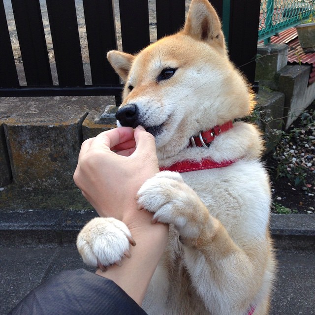 绿茵沙海间，伊萨克的沉默与威尔士最后一分钟的绿洲