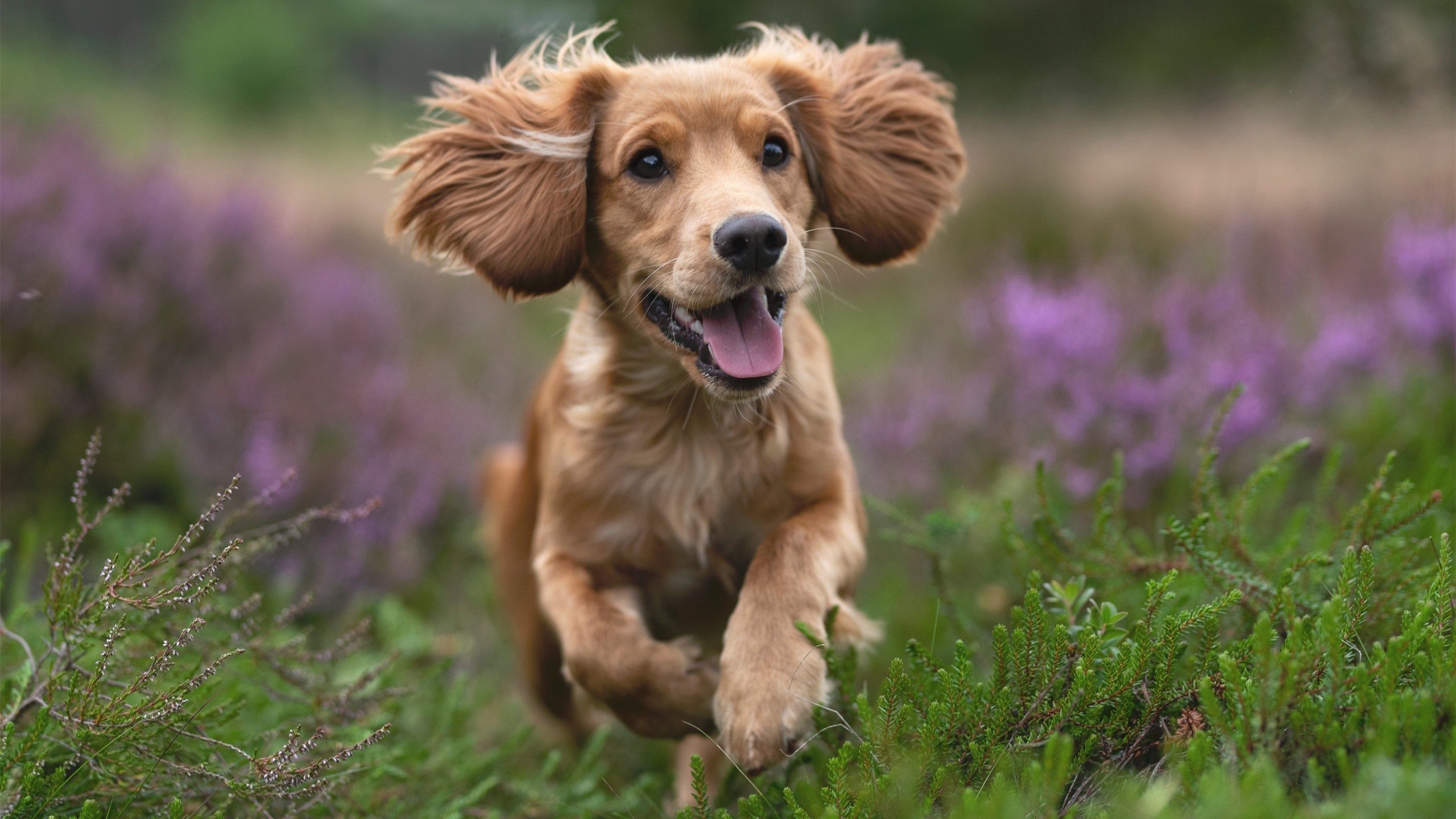 东亚足球里程碑！富安健洋创史级纪录，日本队首度攻陷比利亚雷亚尔主场