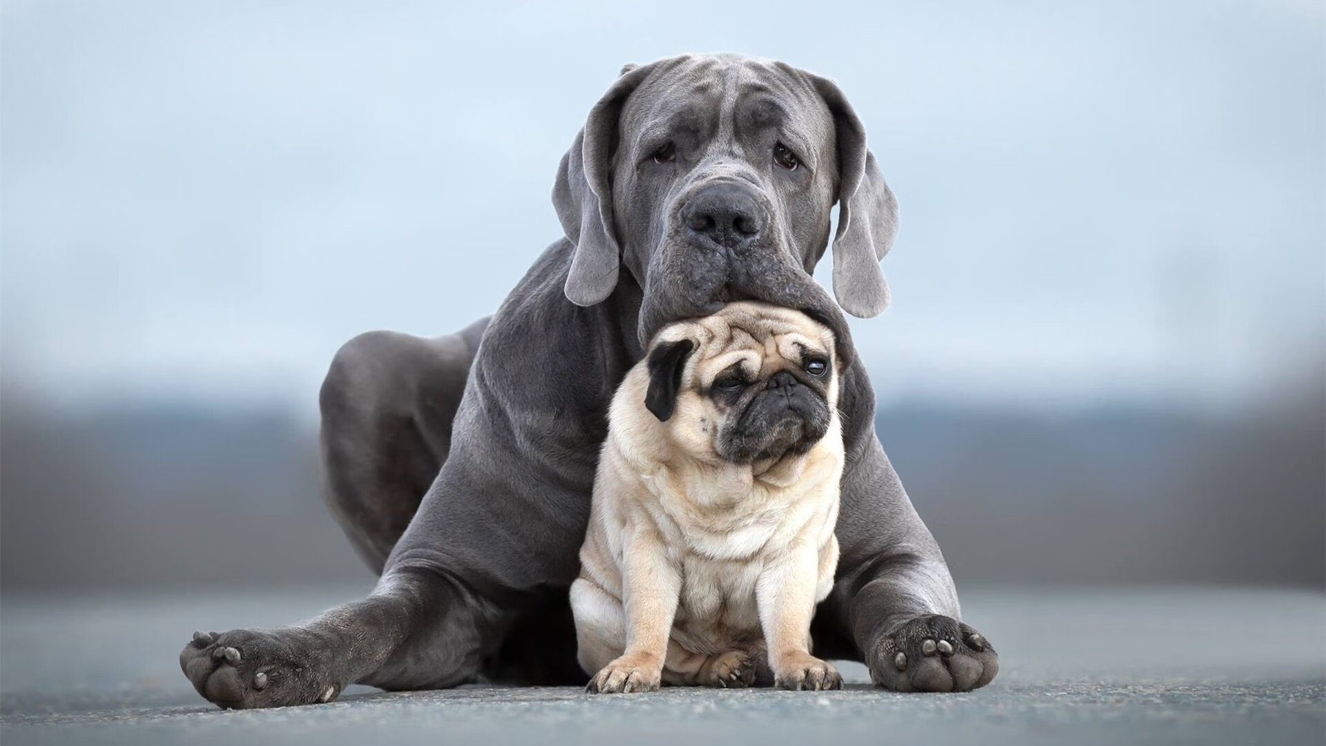 跨越太平洋的暗影对决,当魔术踏平广厦与爱德华兹接管奥运关键战的同一剧本