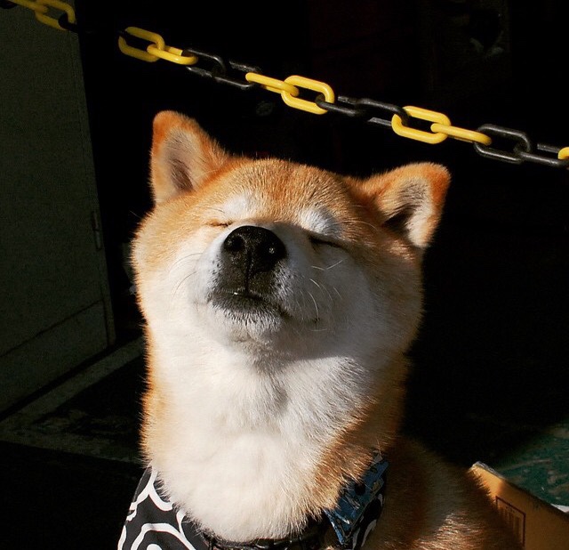 夜战巴黎，小贾伦无解模式轰出奥运最强宣言