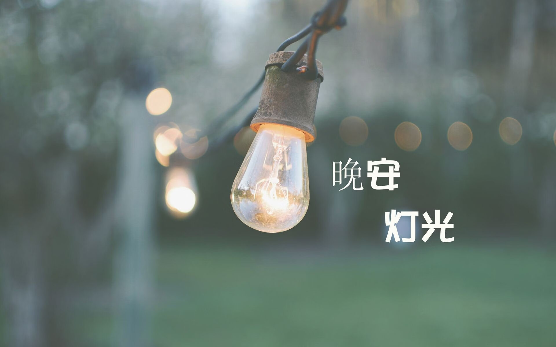 绿洲风暴,2026世界杯G组,乌兹别克斯坦用控球与意志逆转西班牙,奥斯梅恩闪耀全场