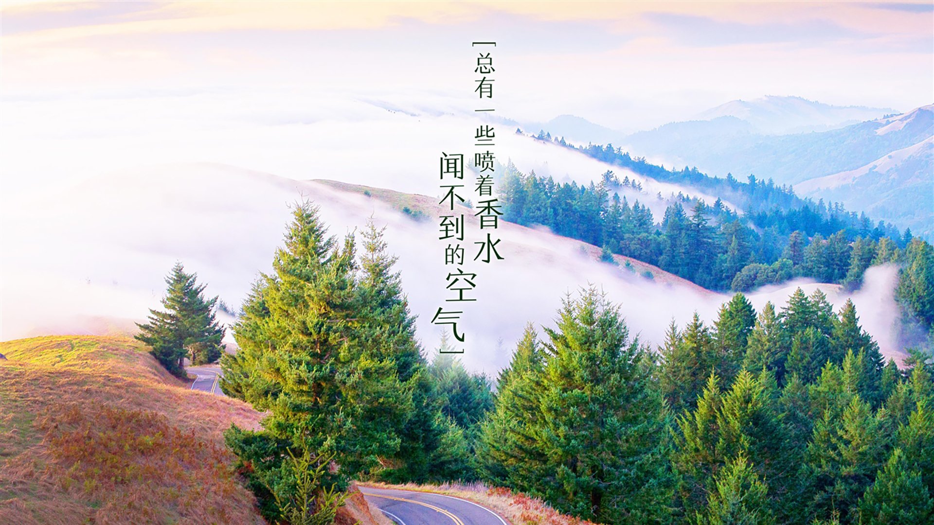 橙衣风暴，2026世界杯小组赛荷兰大胜韩国，哈兰德独造三球演绎锋线新王