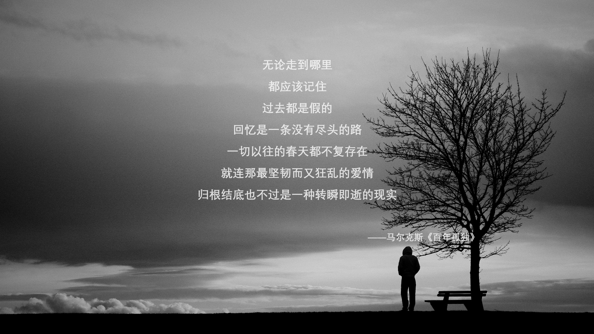 开云体育在线-午夜惊雷，2026世界杯揭幕战，捷克风暴横扫袋鼠军团，福登一剑封喉
