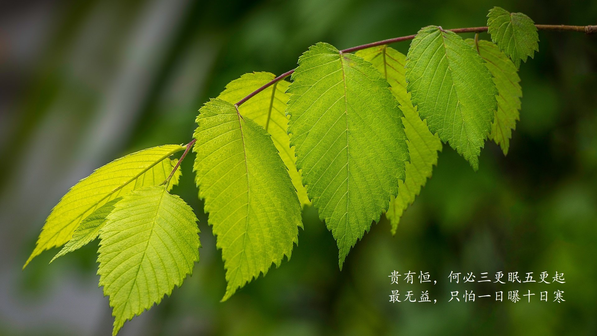 生死战中的唯一使命，瑞典的铁血复仇、挪威的崩塌，与久保建英的孤胆救赎