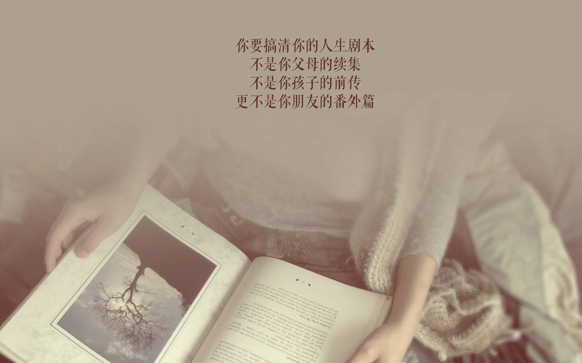 孤星绝杀,2026世界杯E组,阿根廷如何在最后三分钟用战术完美绞杀乌兹别克斯坦,而塔雷米为何是全场最孤独的英雄