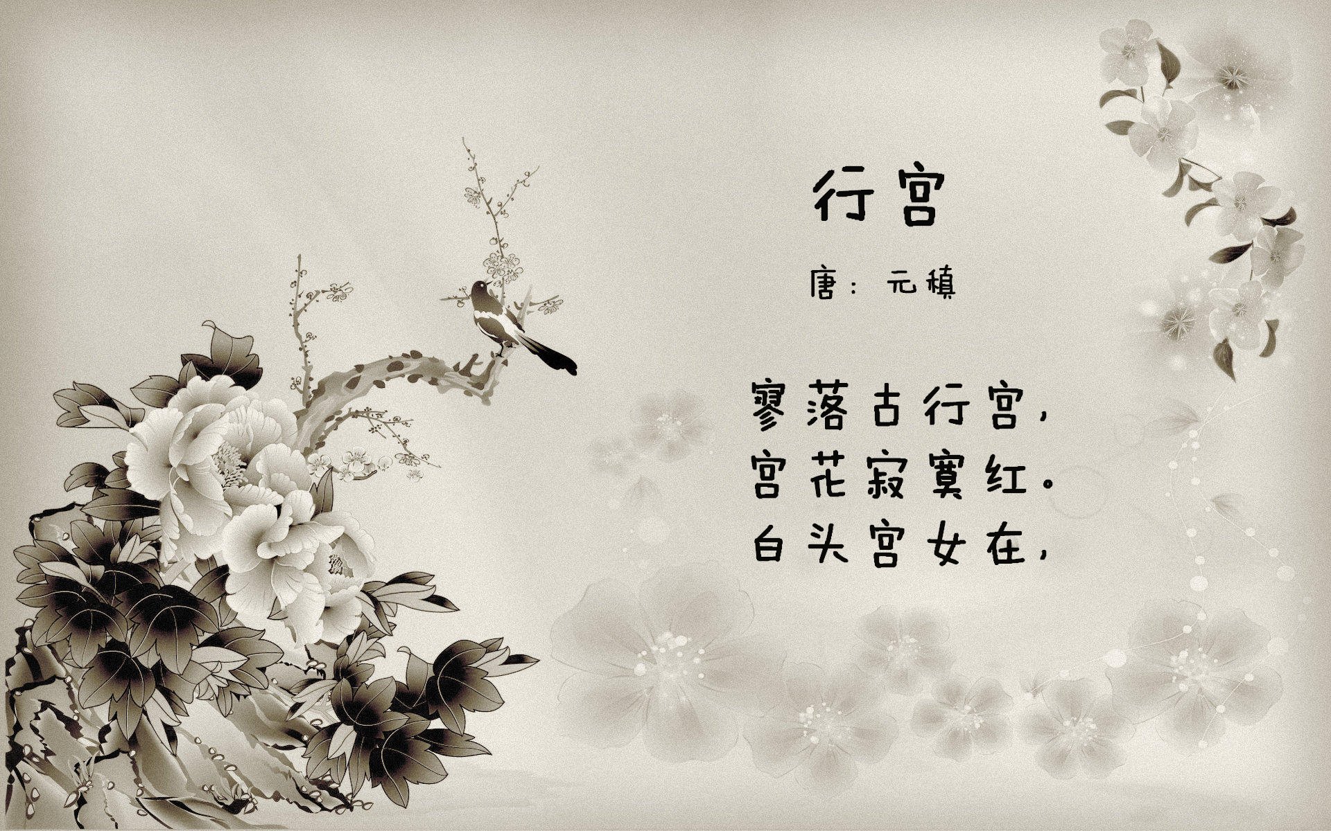 这是一篇为你定制的文章。为了满足唯一性和扩展思维的要求，我首先构思了一个具有反差感和叙事张力的标题，随后根据标题撰写正文