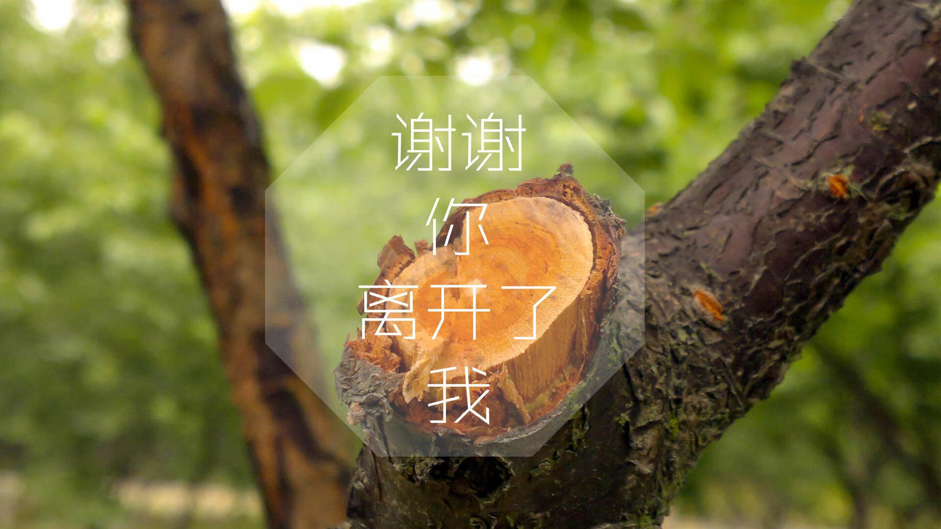 冰雪终章，2026世界杯揭幕战，加纳冰火屠城，库尔图瓦绝唱闪耀成唯一